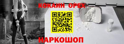 гашик Можга