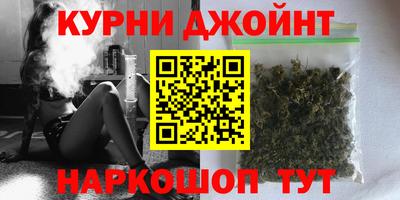 гашик Можга