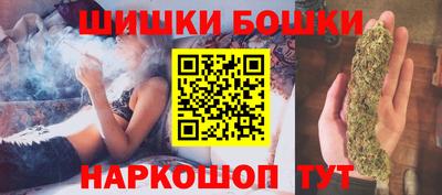 гашик Можга