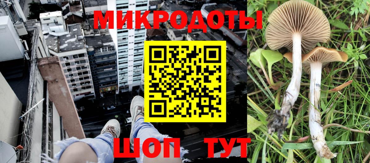 Фролово  Псилоцибиновые грибы MAGIC MUSHROOMS  Вход с VPN  Галлюциногенные грибы Cubensis 